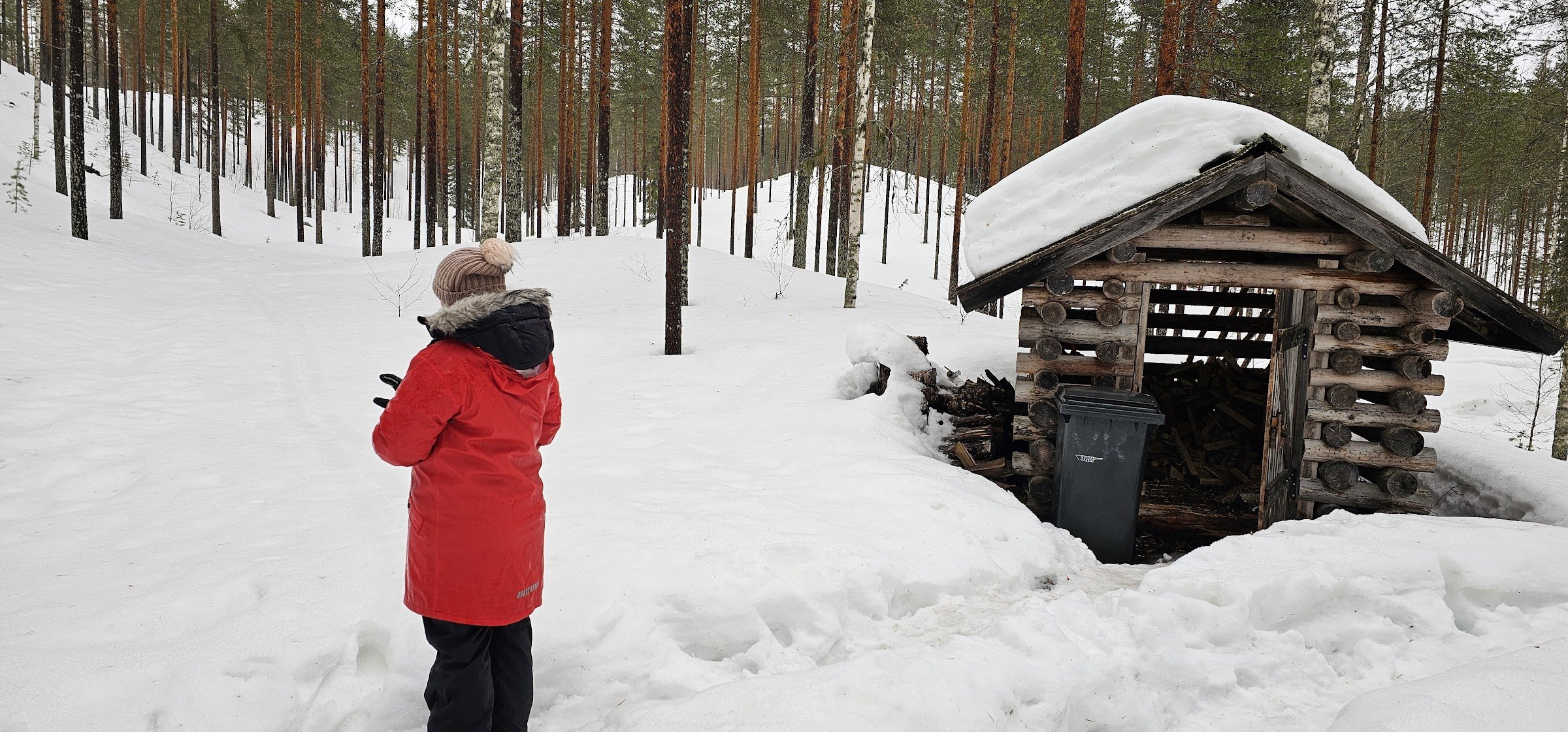 Hut of Linnanharju Nature Trail (Linnanharjun metsäpolku laavu)